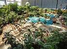 Tropical Islands