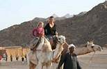 Kindervakanties Egypte