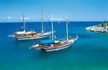 Bruisend Bodrum!